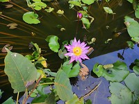 IMG_20190413_165636