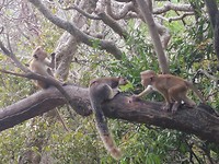 IMG_20190413_163548