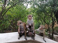 IMG_20190413_163515
