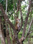IMG_20190413_133826
