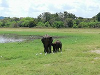 IMG_20190413_131047