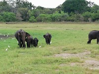 IMG_20190413_130834