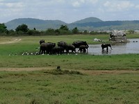 IMG_20190413_130102
