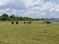 IMG_20190413_125912