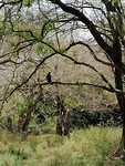 IMG_20190413_123556