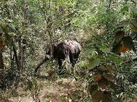 IMG_20190413_122549