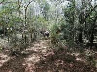 IMG_20190413_122542