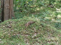 IMG_20190413_121346