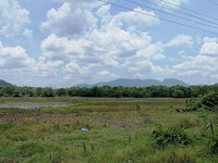 IMG_20190413_105628