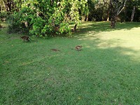 IMG_20190414_162813