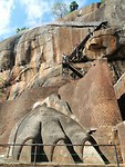 IMG_20190414_082738