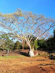 IMG_20190414_073048