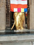 IMG_20190415_163358
