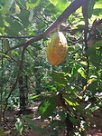 IMG_20190415_111413