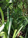 IMG_20190415_110923