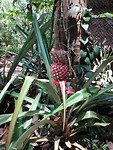 IMG_20190415_110040