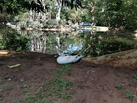 IMG_20190415_091936