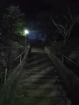 IMG_20190415_052325