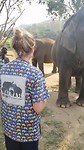 Olifantjes eten geven in Chiang Mai