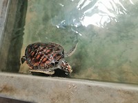 IMG_20190417_110412