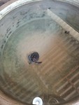 IMG_20190417_110244