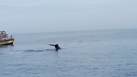 IMG_20190417_084353