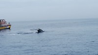 IMG_20190417_084352