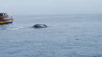 IMG_20190417_084351