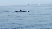 IMG_20190417_084306