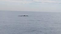 IMG_20190417_082940
