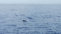 IMG_20190417_074554