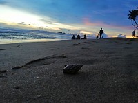 IMG_20190419_182934
