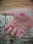 IMG_20190420_125645