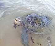 IMG_20190420_073235