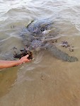 IMG_20190420_071215
