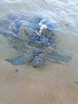 IMG_20190420_071208