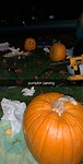 pumpkin carving