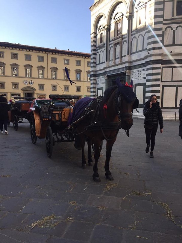Florence