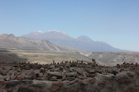 IMG_7288