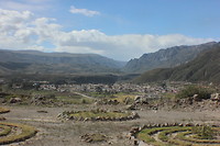 IMG_7294