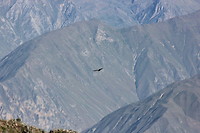 IMG_7355