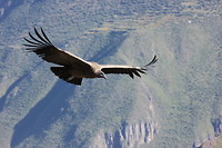 IMG_7402