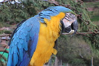 IMG_7709