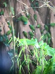 IMG_5992