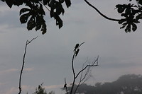 IMG_7896