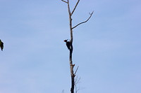 IMG_7905
