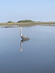IMG_6577