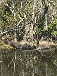 IMG_6583