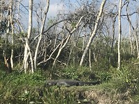 IMG_6588