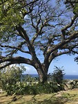 IMG_6812